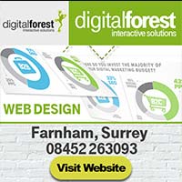 Digital Forest Web Design